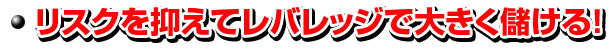 リスクを抑えてレバレッジで大きく儲ける！